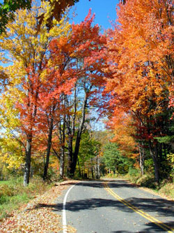 Autumn in Vermont